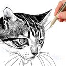 Kit 12 Caneta Nanquim Profissional Desenho Técnico